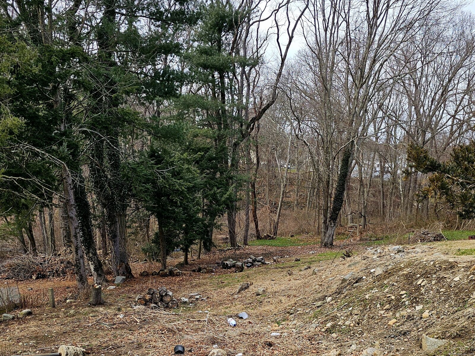 Property Photo:  115 Silver Street  CT 06610 