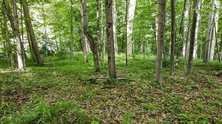 Photo de la propriété:  7 Fern Lane  ON L0M 1T0 