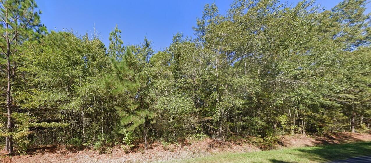 Property Photo:  Tbd New Meadow Drive  SC 29471 
