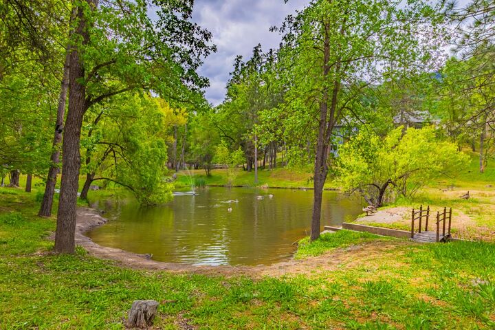Property Photo:  48441 Woodbend Court  CA 93644 