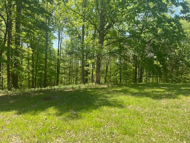 Property Photo:  0 Ridgeview Run  TN 37352 