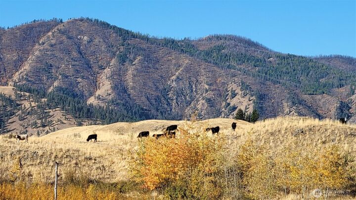 Property Photo:  0  Harrier Lane  WA 98855 