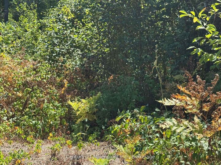 Property Photo:  931 River Road E  ON L9Z 2P4 