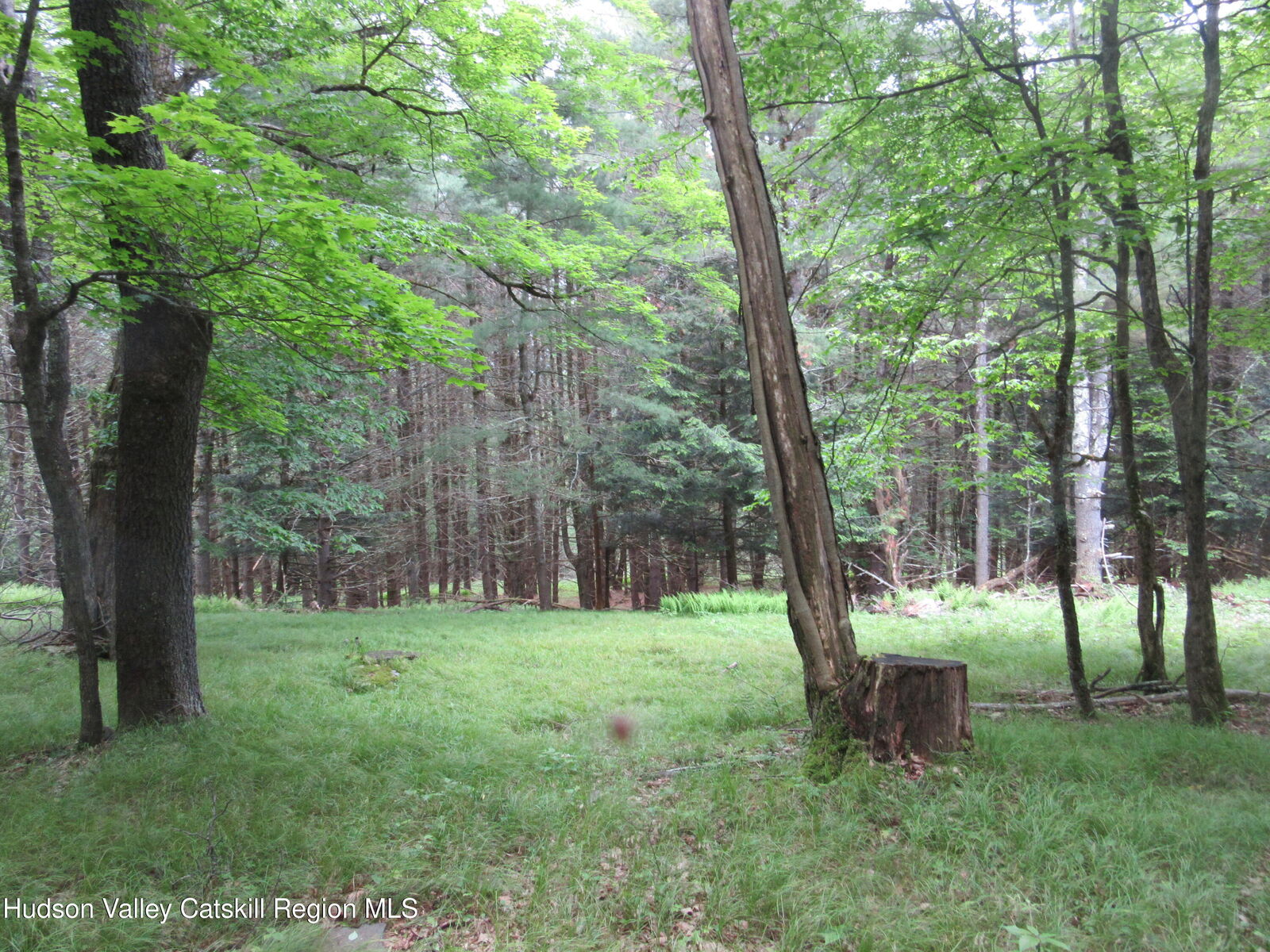 Property Photo:  0 Airport Rd, Lot#1  NY 12452 