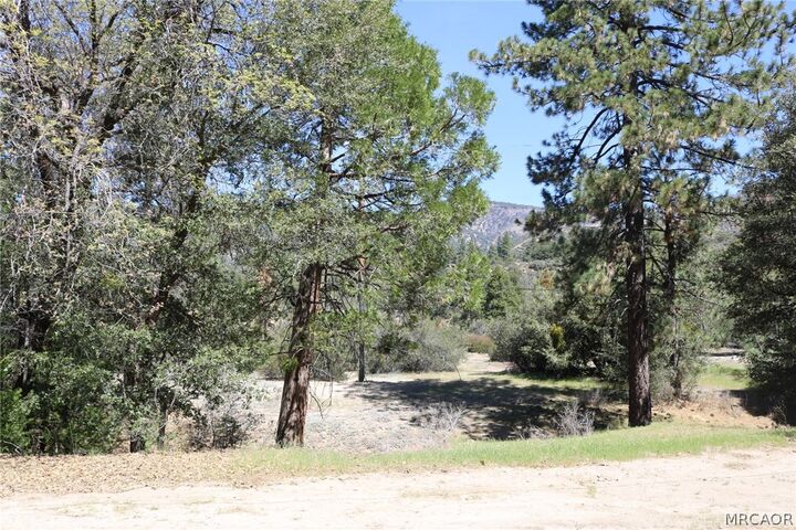 Property Photo:  30 Seven Oaks Road 30  CA 92305 