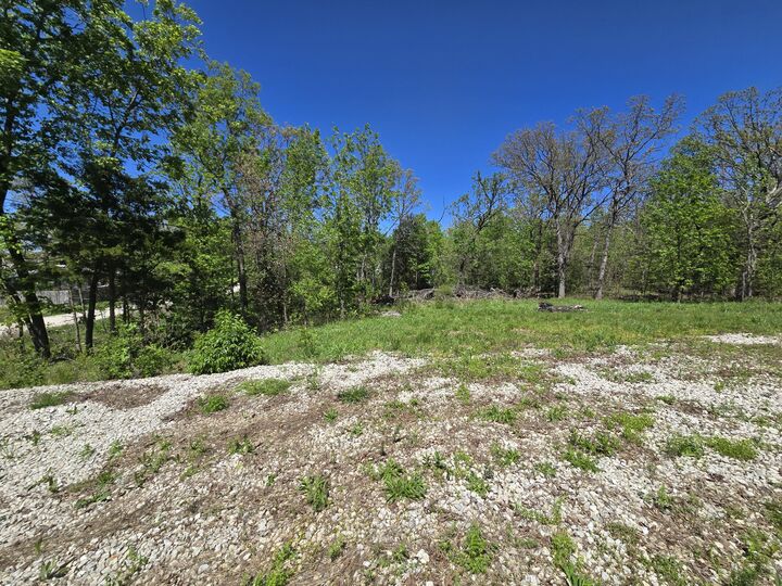 Property Photo: 24803 County Road 294 MO 65767