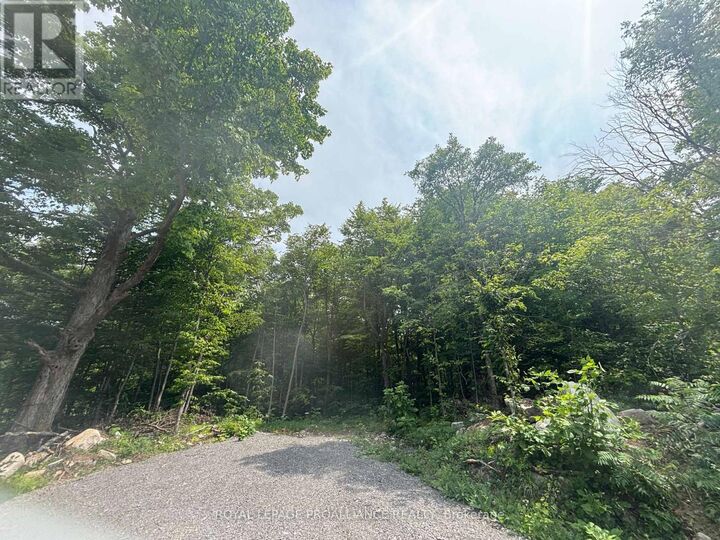 Property Photo:  554 Pigden Road Severed B  ON K0K 2K0 