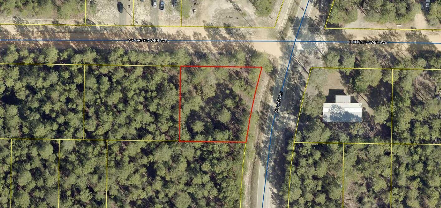 Property Photo:  Lot 8 W Cornflower Avenue  FL 32433 