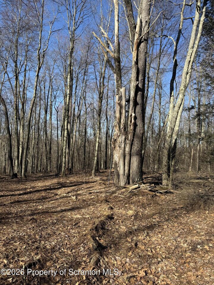 Property Photo:  Ash Gap Road  PA 18444 