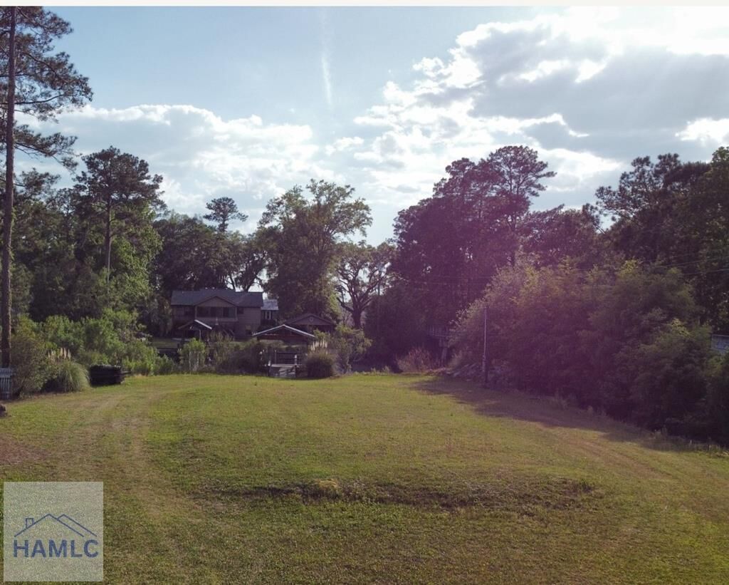 Property Photo:  Lot Tideland Drive  GA 31320 