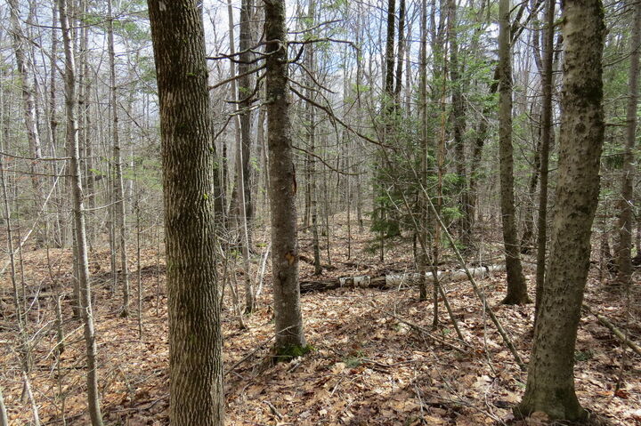 Property Photo:  0 Oak Hill Road  ME 04472 