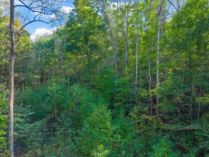 Property Photo:  0 Cox Hollow  TN 37058 