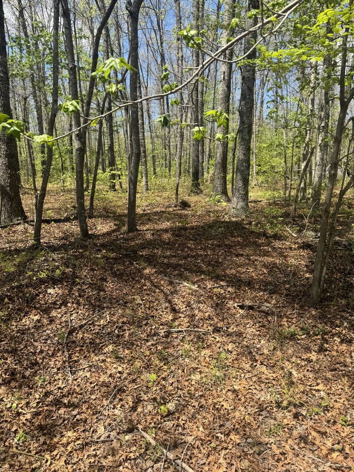 Property Photo:  0 Doe Creek Lake Dr  TN 38583 