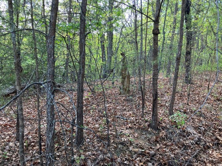 Property Photo: Lt24 Mission Ridge Court NC 28904