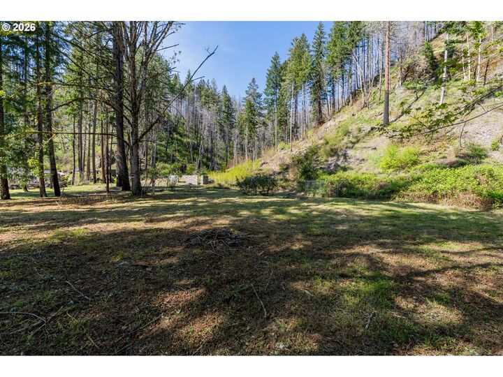 Property Photo:  47975 87 McKenzie Hwy  OR 97488 