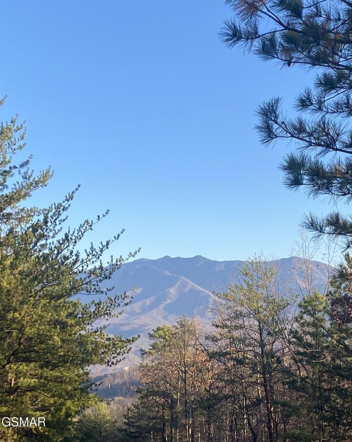 Property Photo:  D7 Lightning Bug Way  TN 37738 