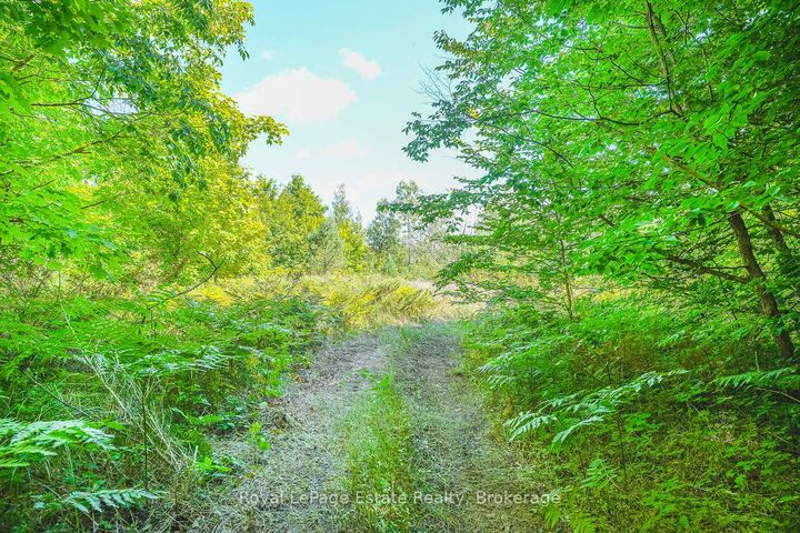 Lot 3 Sixth Street — photo 1