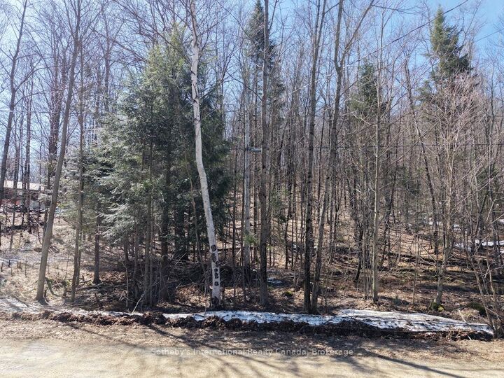 Property Photo:  0 Mink Lot 17 Road  ON K0M 1S0 