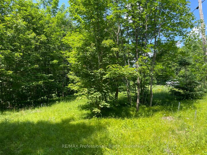 Property Photo:  0 Glamor Lake Road  ON K0M 1R0 