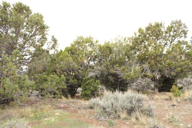 Property Photo:  Unknown  UT 84629 