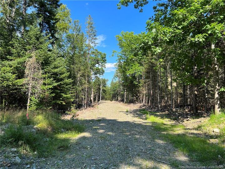 - Hills Point Road — photo 1