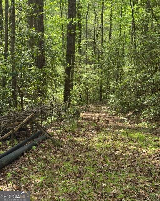 Property Photo:  348 Hemlock Trail  GA 30540 
