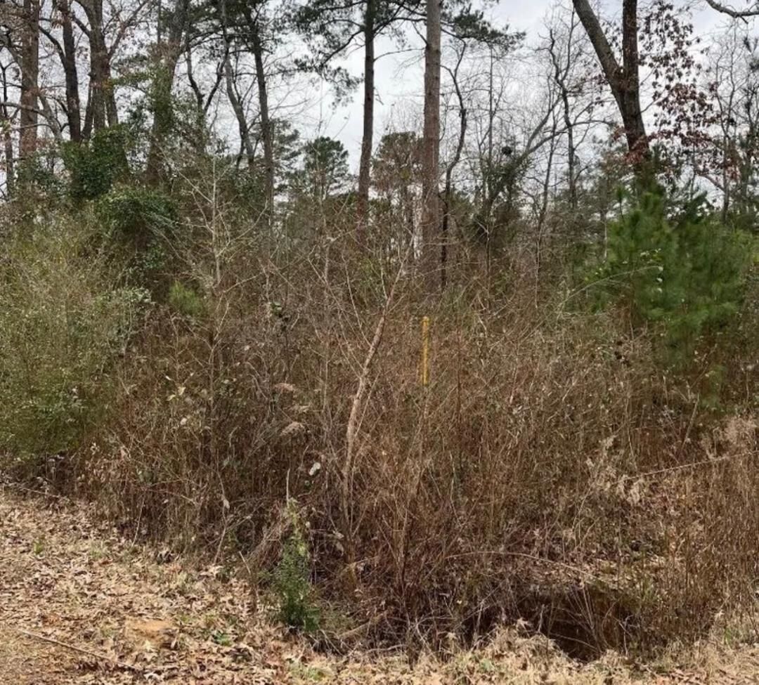 Property Photo:  Tbd Arrowhead Dr  TX 75657 