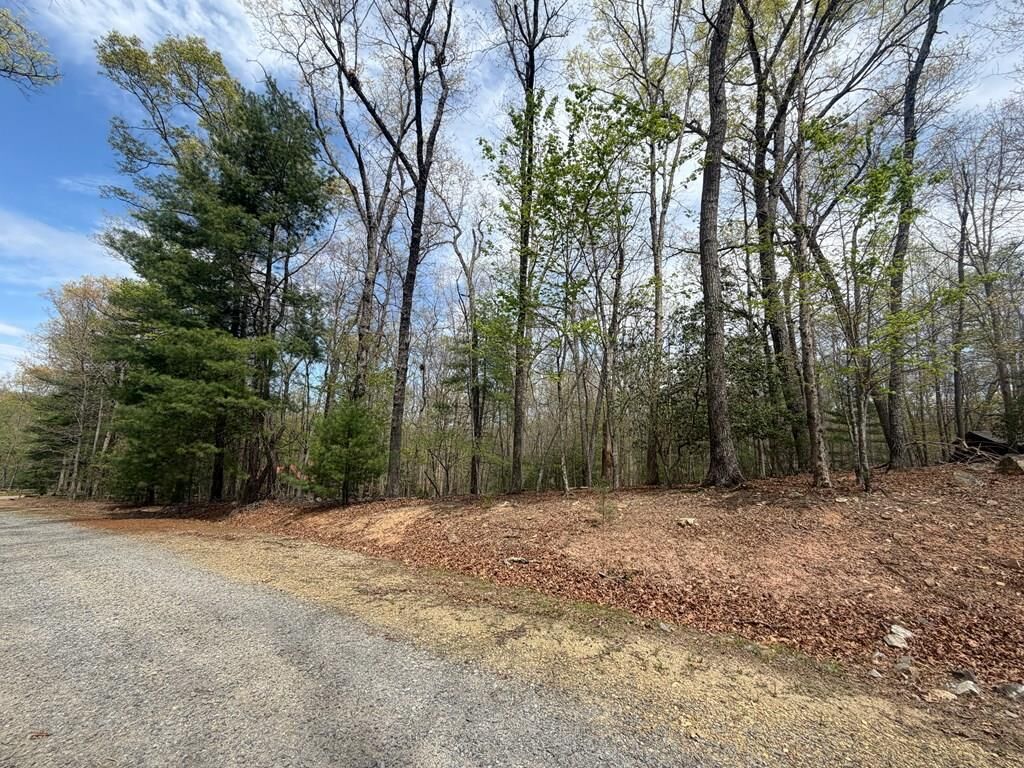 Property Photo:  # 2 Amber Way  GA 30560 