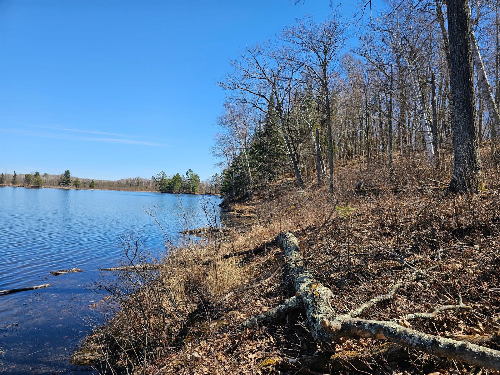 Property Photo:  Tbd Tract B Swanson Road  MN 56444 