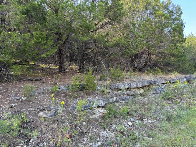 Property Photo:  270 Table Rock Drive  AR 72631 