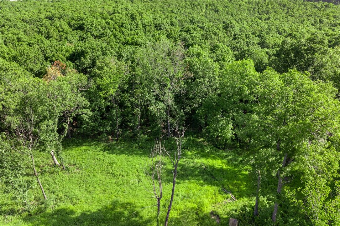 Property Photo:  Lot 89 Restore Circle  AR 72601 