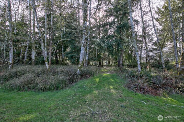 Property Photo:  189  Duck Lake Drive NE  WA 98569 