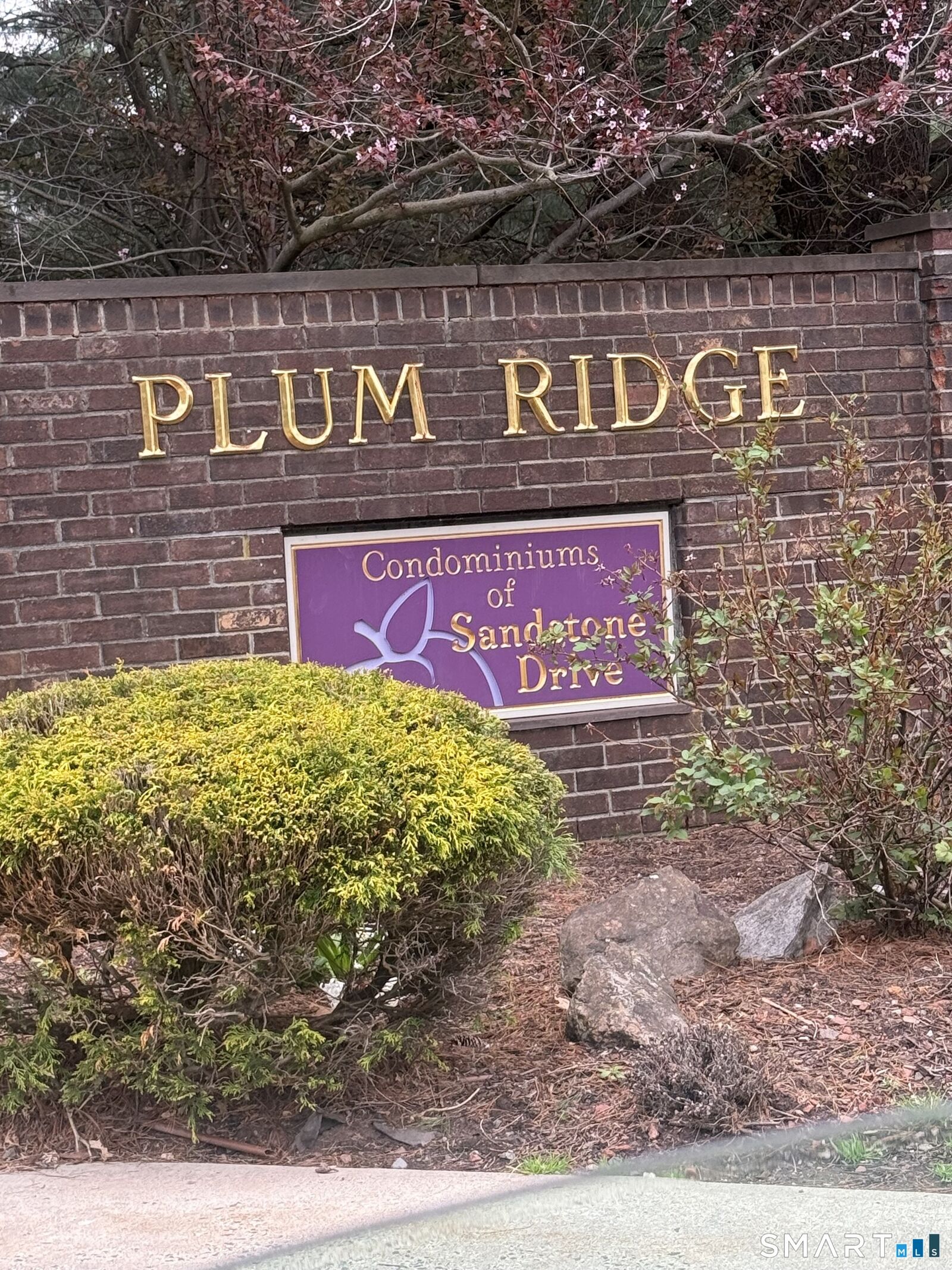 Property Photo:  504 Sand Stone Drive 504  CT 06074 