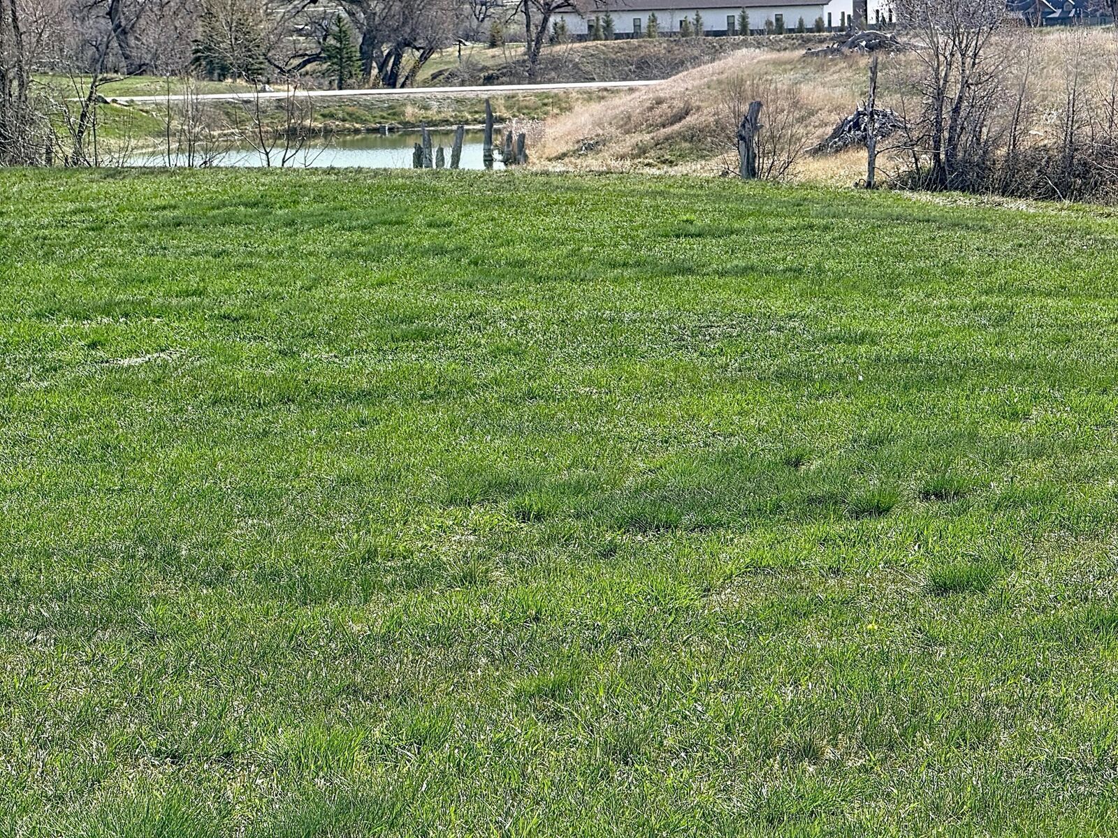 Property Photo:  7 Jade Court  WY 82834 