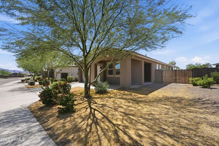 Property Photo:  2118 S 124th Drive  AZ 85323 