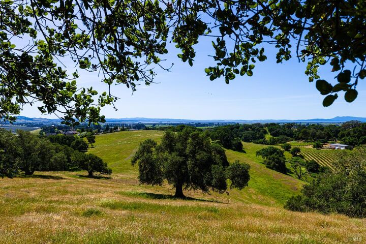 Property Photo:  1247 Foster Road  CA 94558 