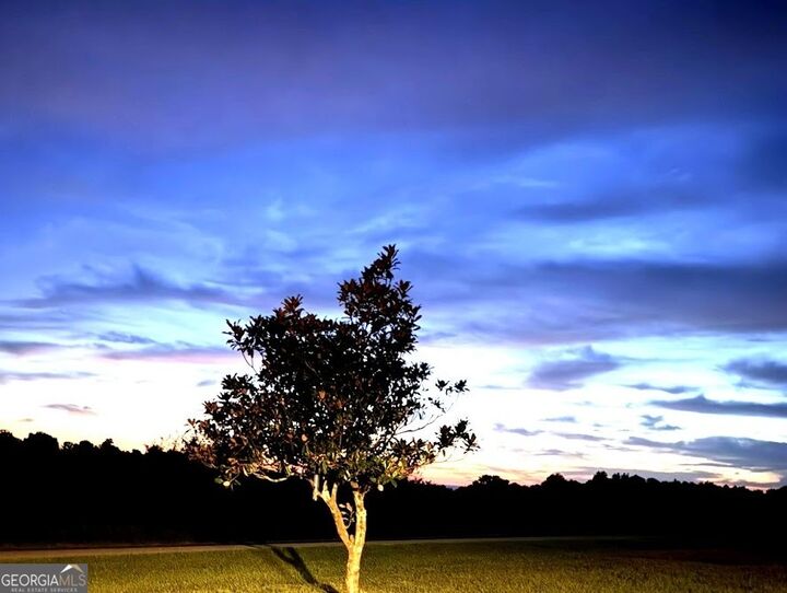 Property Photo:  17560 County Road 87  AL 36280 