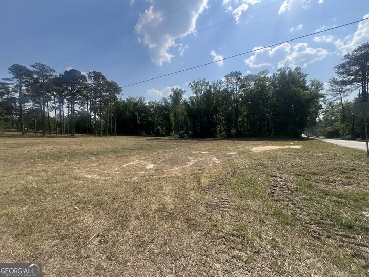 Property Photo:  323 Forrest Clary Drive  GA 30824 