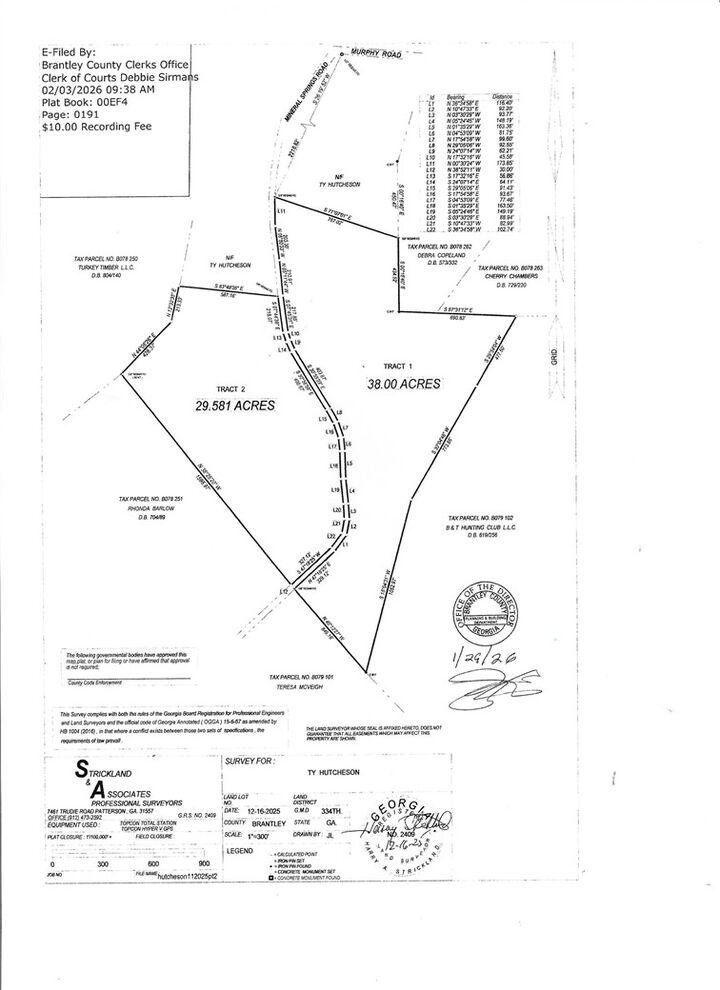 Property Photo:  0 Mineral Springs Road  GA 31566 