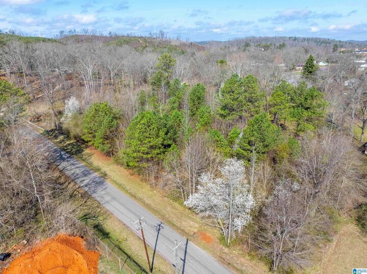 Property Photo: Lot 3 Francis Street 3 AL 36265