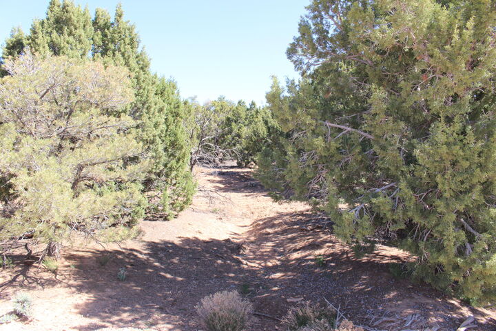 Property Photo:  17768 W Harmony Ln  UT 84720 
