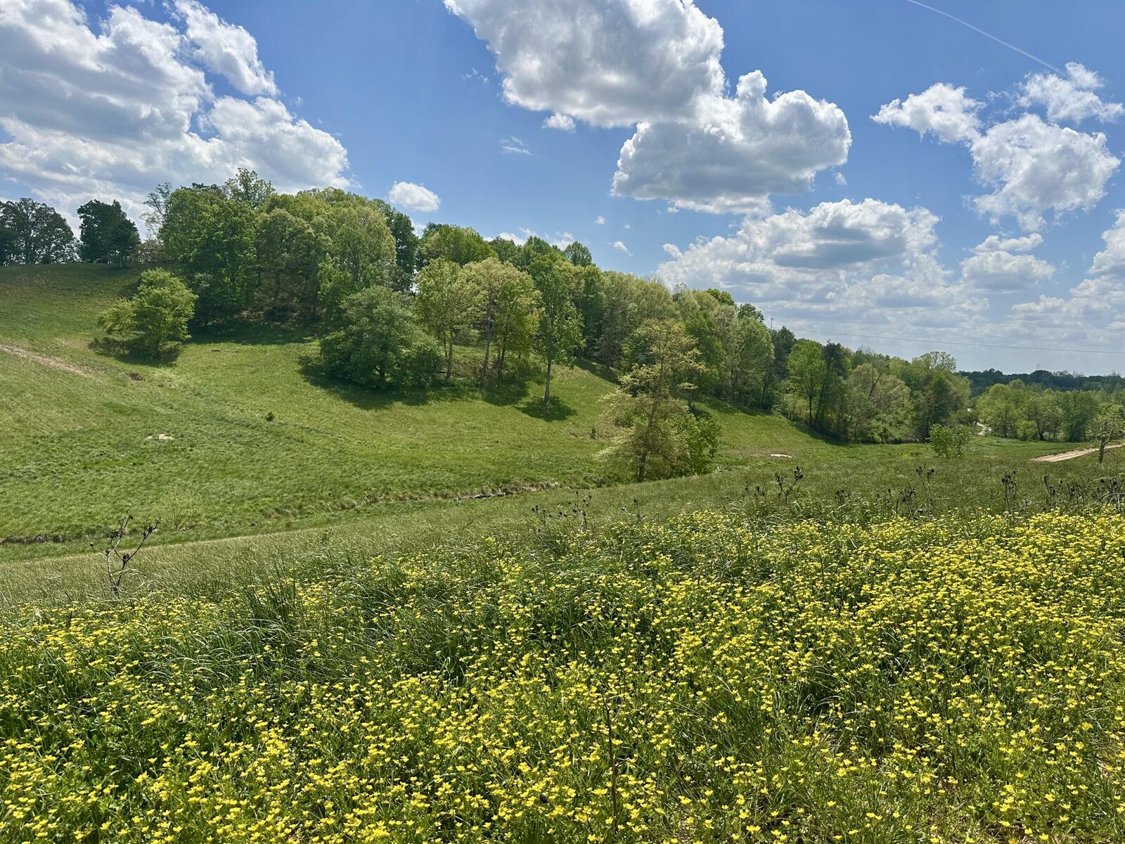 Property Photo:  950 Pittsburg Landing Tract 28  KY 40741 