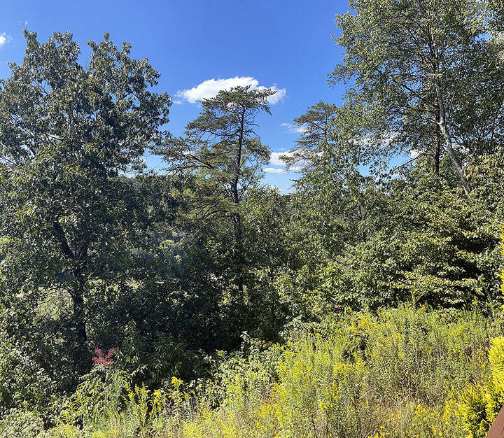 Property Photo: Lot 148 Stillwater KY 42642