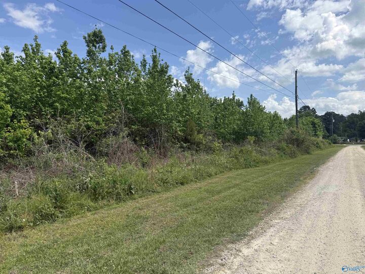 Property Photo:  Lot 15 Village Lane  AL 35901 