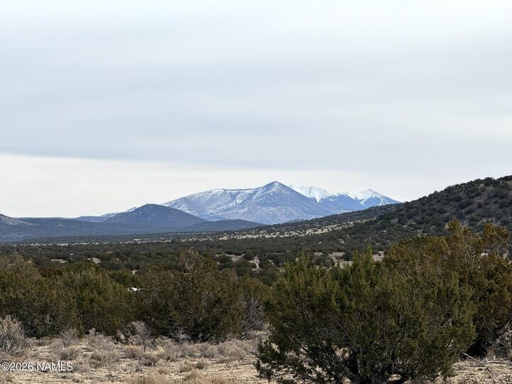 Property Photo:  14477 Howard Mesa Loop  AZ 86046 