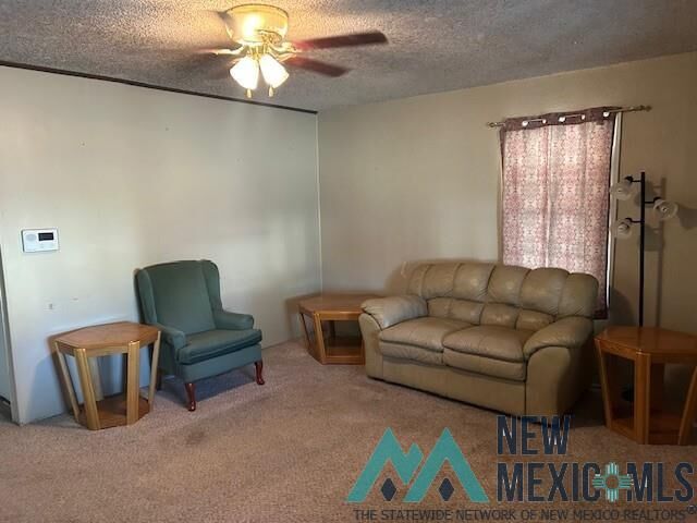 Property Photo:  1020 N Thomas Street  NM 88220 