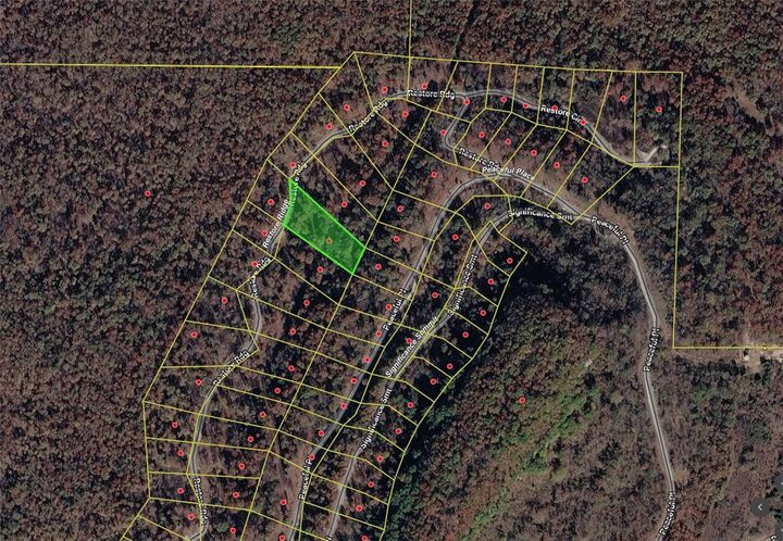 Property Photo:  Lot 46 Restore Ridge  AR 72601 