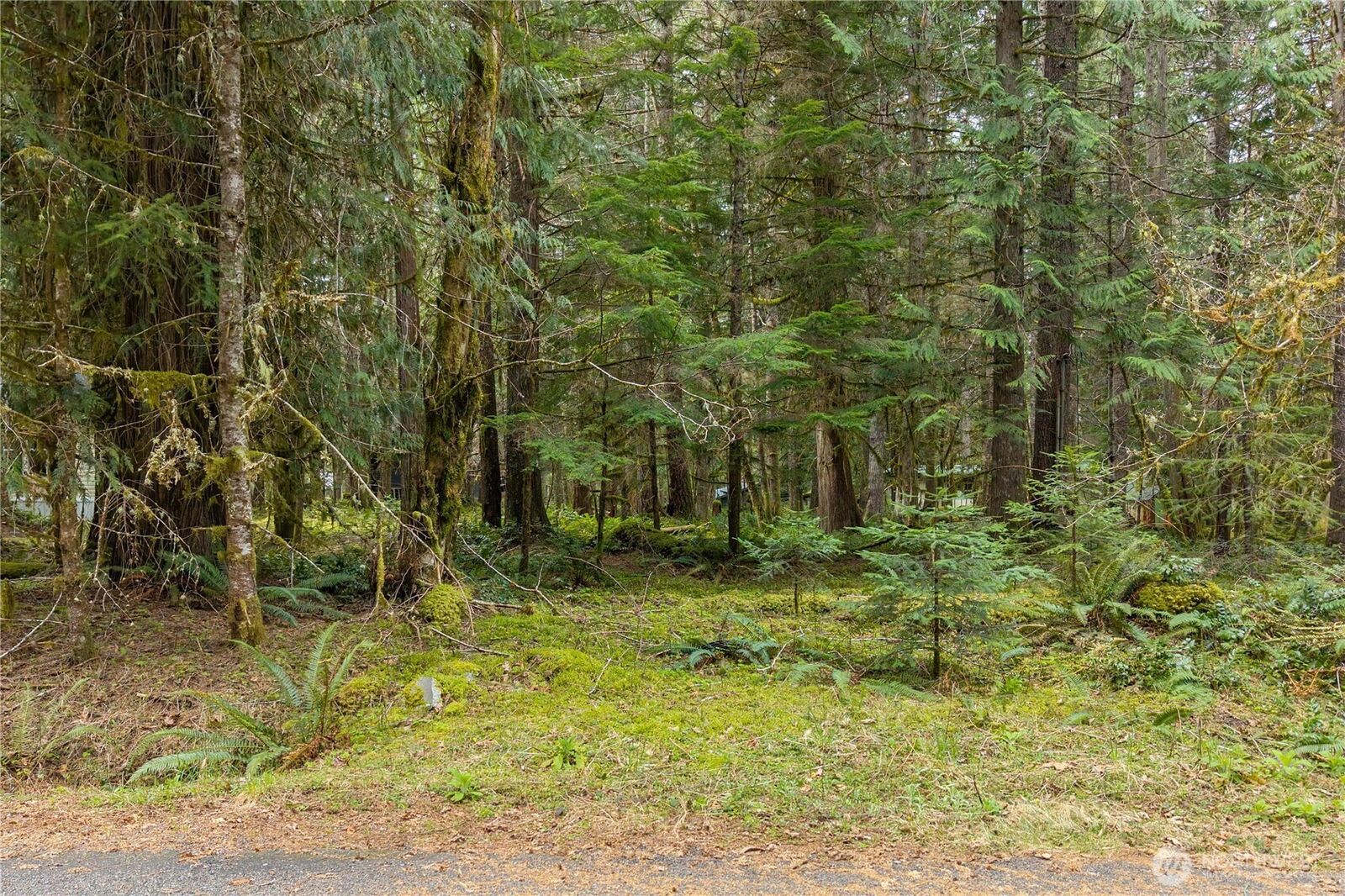 Property Photo:  56510  383rd Avenue Ct E  WA 98304 