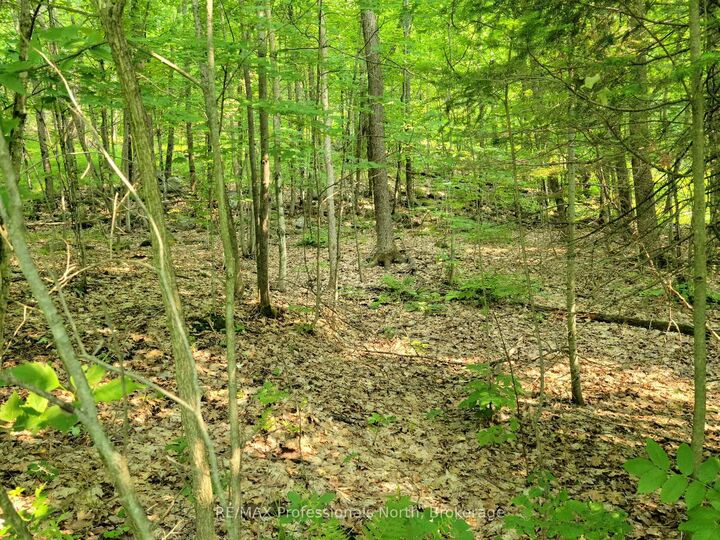 32 Mount Vernon Trail 22 — photo 1