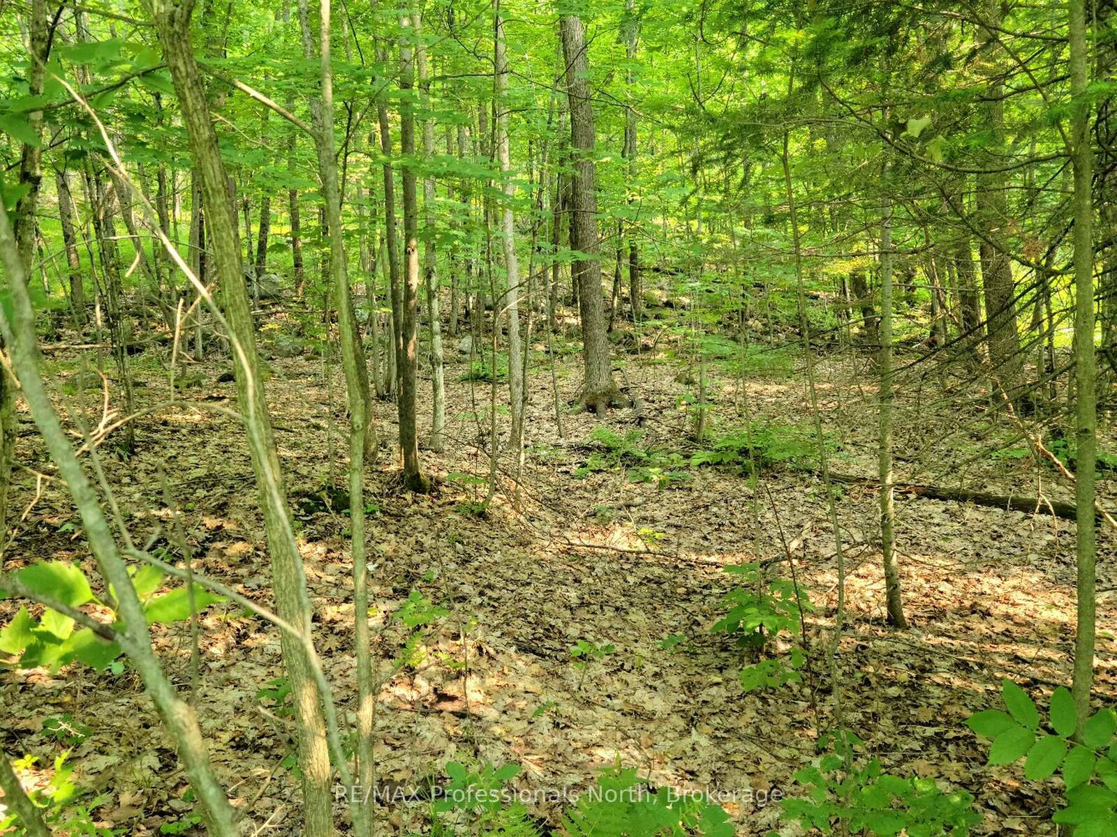 Property Photo: 32 Mount Vernon Trail 22 ON P1H 1E3